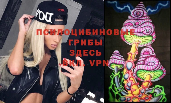 СК Беломорск