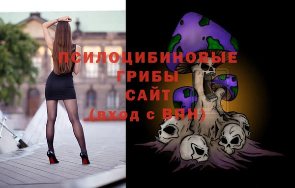 твердый Белокуриха