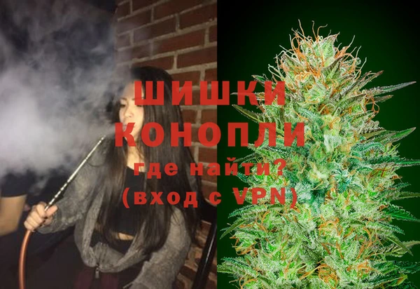 твердый Белокуриха